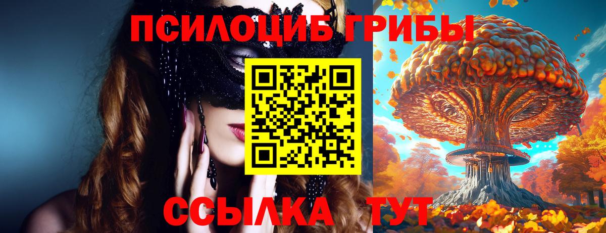 Псилоцибиновые грибы MAGIC MUSHROOMS  Вход с VPN  Псилоцибиновые грибы MAGIC MUSHROOMS  Зеленокумск 
